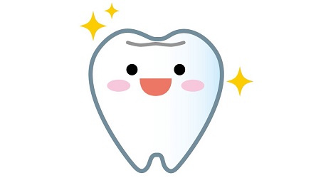 f:id:nanacoro8oki:20210321205845j:plain