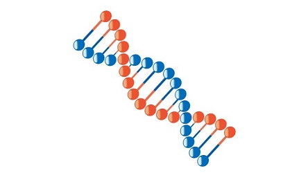 f:id:nanacoro8oki:20210405220330j:plain