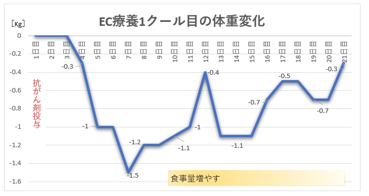 f:id:nanacoro8oki:20210527193208j:plain