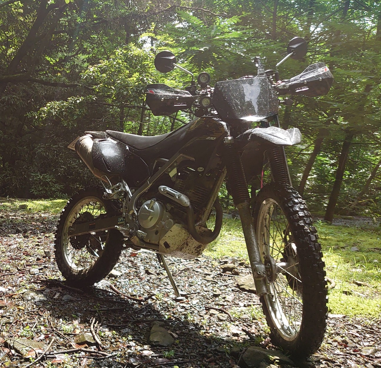 鬼滅の刃コラボ ミズノトレーニング水着 M 定価¥10,890税込 スイム｜ミズノ