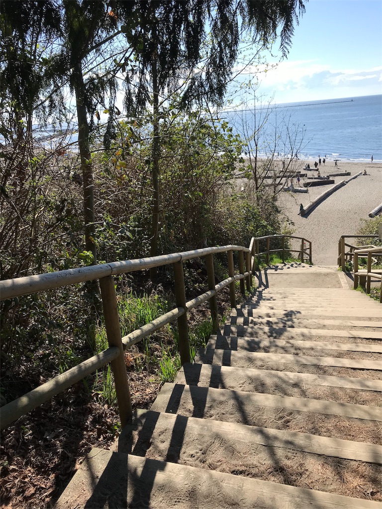 f:id:nanagreen:20191120065846j:image