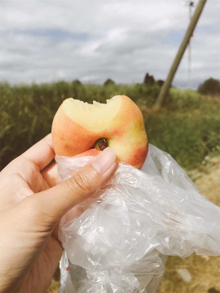f:id:nanagreen:20191120153555j:image