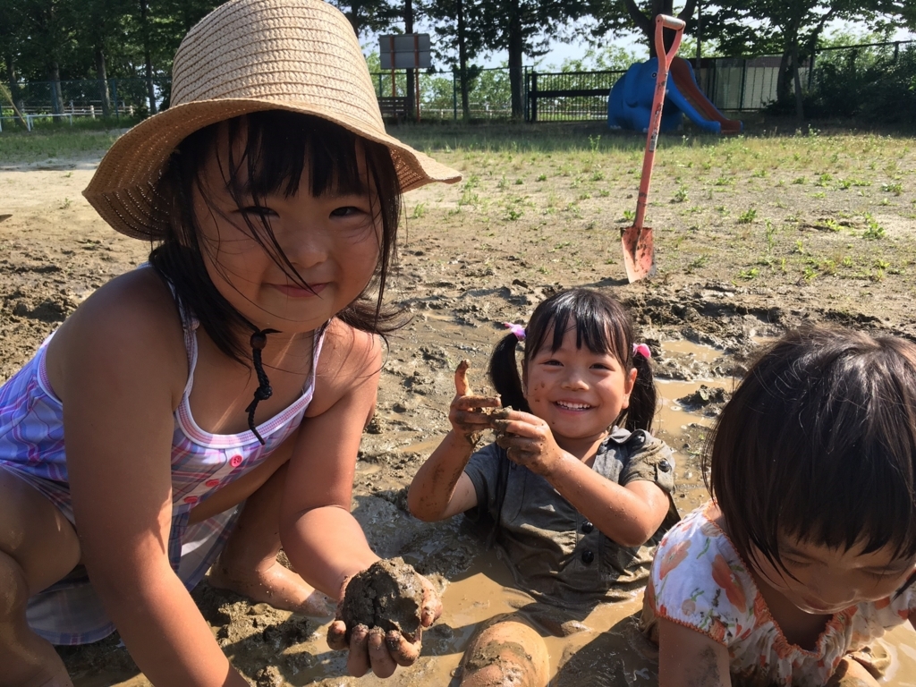 f:id:nanahamakko:20170726204113j:plain f:id:nanahamakko:20170726204113j:plain
