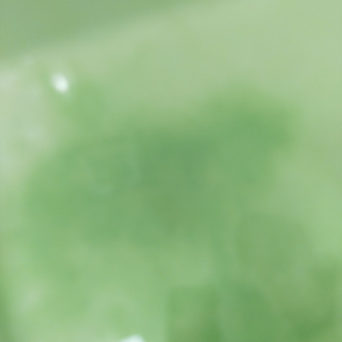 f:id:nanahoshii:20210830180927j:plain