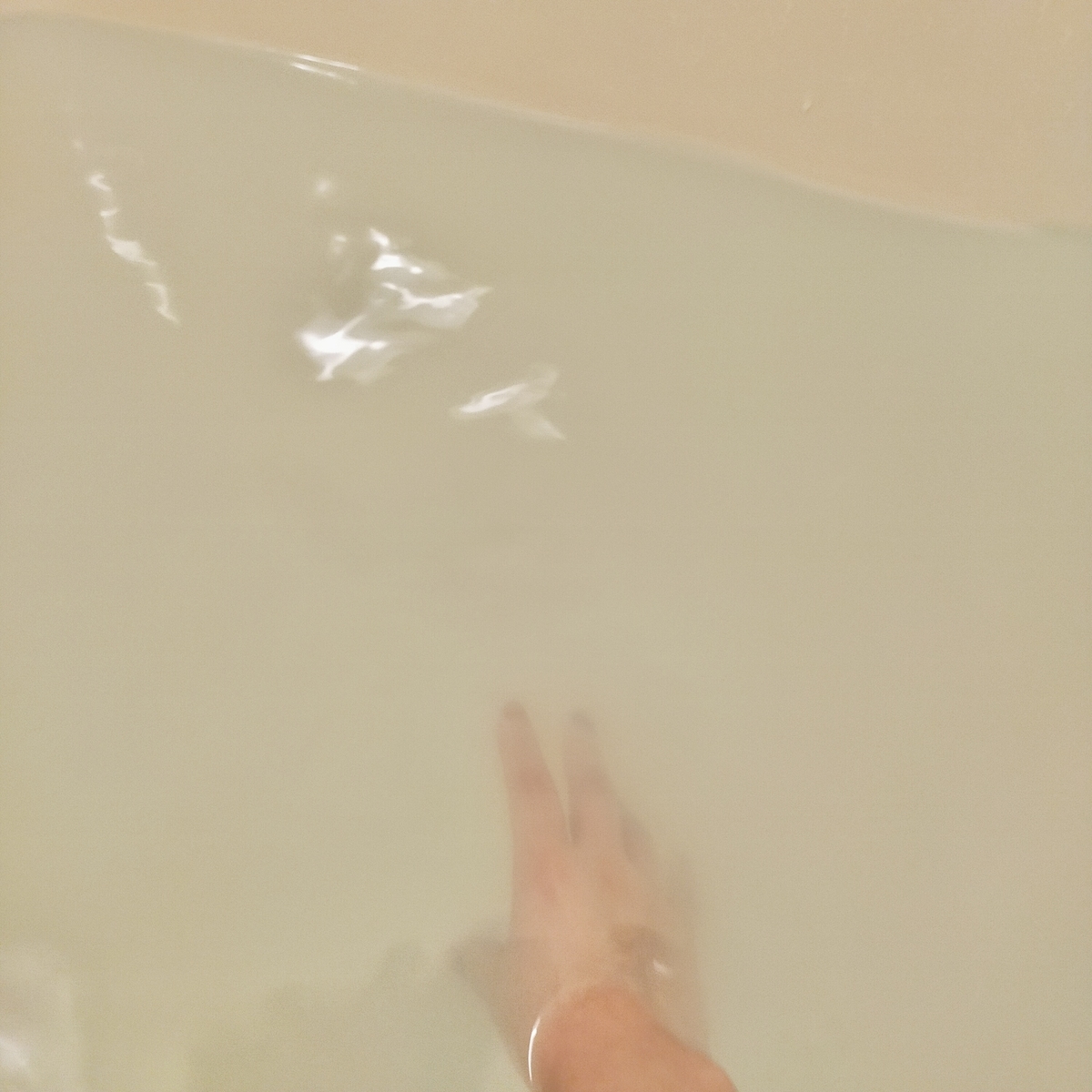f:id:nanahoshii:20211014101033j:plain