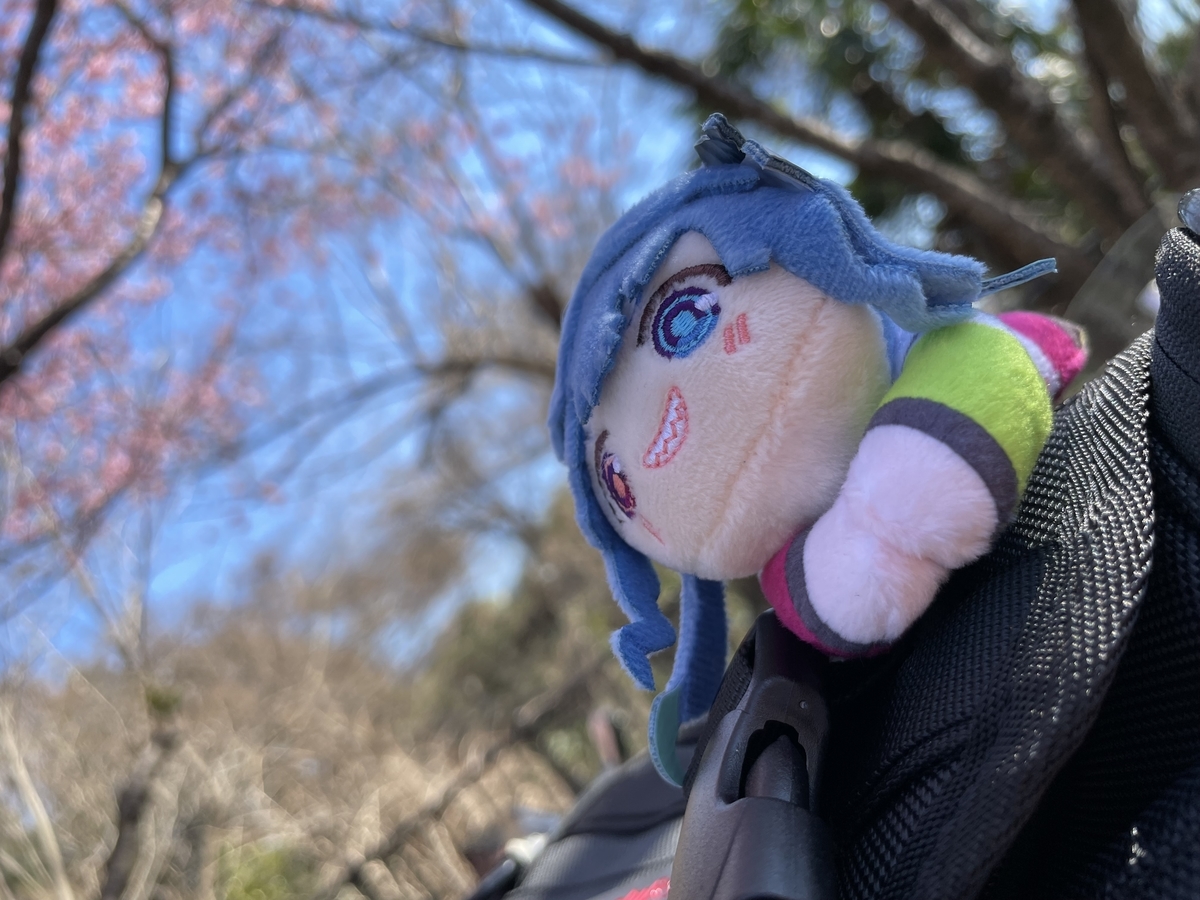 f:id:nanairo9r:20220307142630j:plain