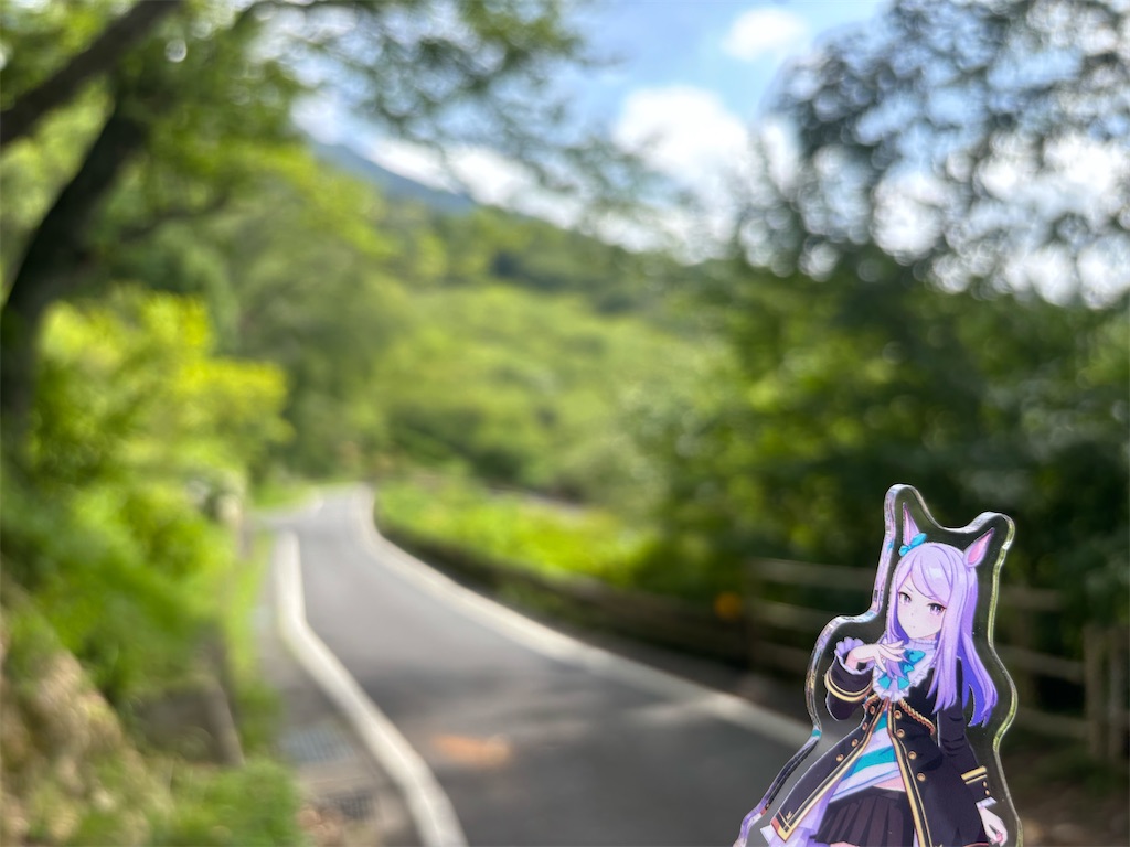 f:id:nanairo9r:20260727090144j:image f:id:nanairo9r:20260727090144j:image