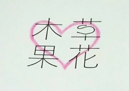 f:id:nanairo_diary77:20190207154745j:image f:id:nanairo_diary77:20190207154745j:image