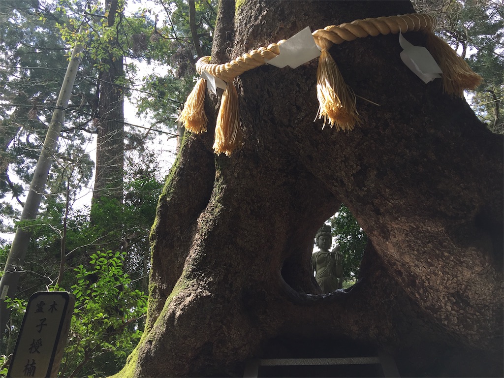 f:id:nanairo_no_sora:20190603141453j:image f:id:nanairo_no_sora:20190603141453j:image