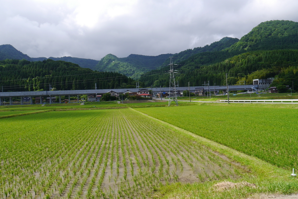 f:id:nanairono-kai:20170622092310j:plain