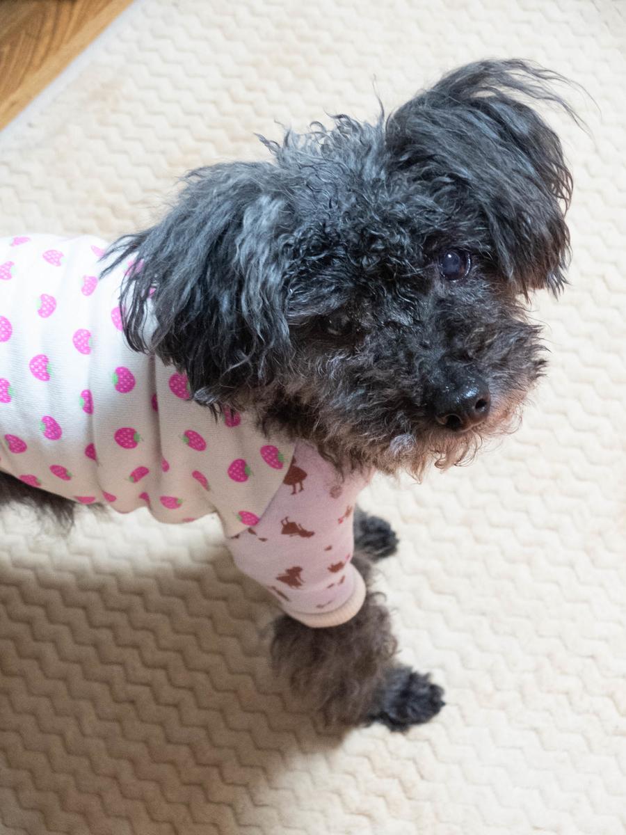 f:id:nanajaiamelie:20210321210312j:plain