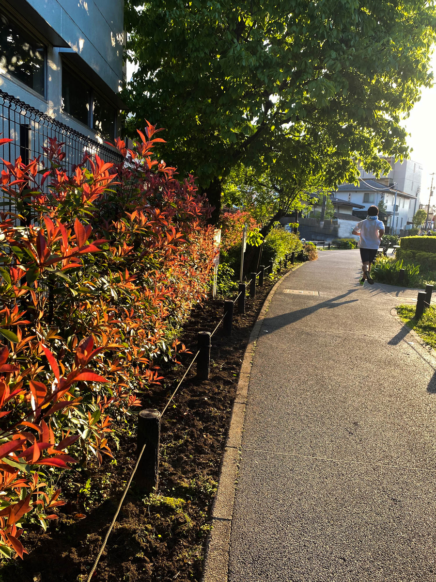 f:id:nanajaiamelie:20210411214726j:plain