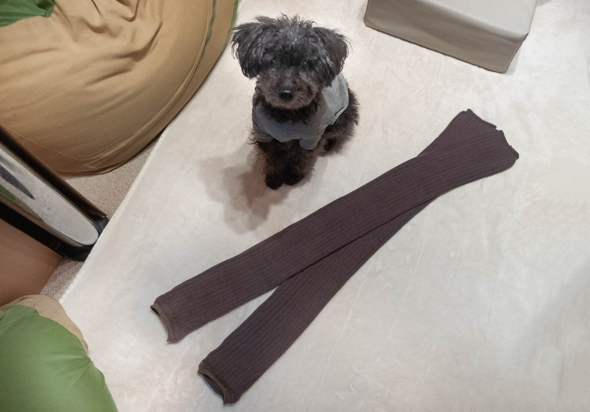 f:id:nanajaiamelie:20210414203207j:plain