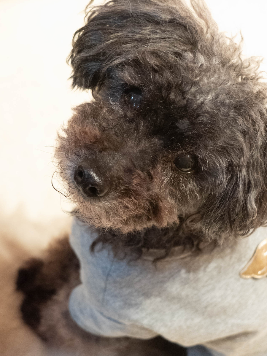 f:id:nanajaiamelie:20210414203331j:plain