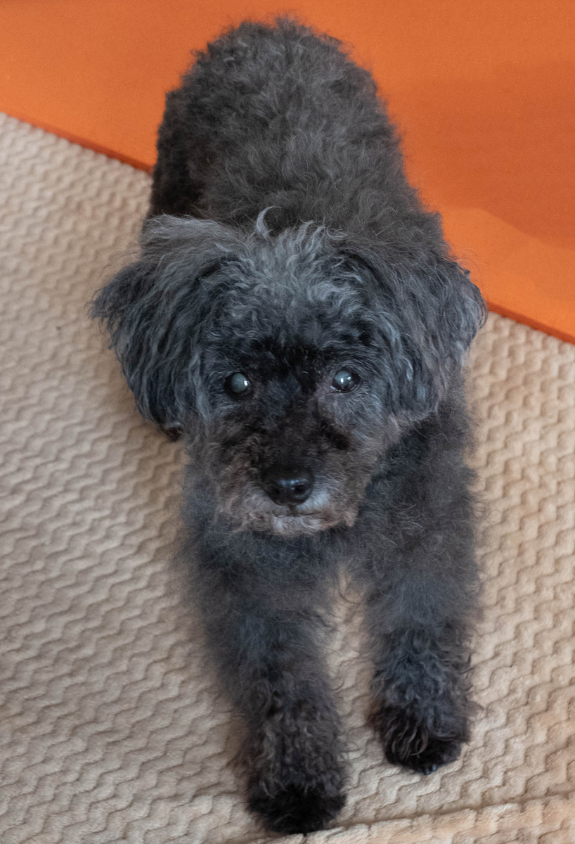 f:id:nanajaiamelie:20210518222826j:plain