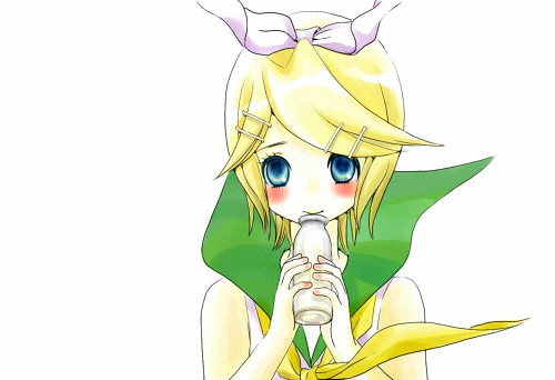 f:id:nanakaeru:20090217153021j:image f:id:nanakaeru:20090217153021j:image