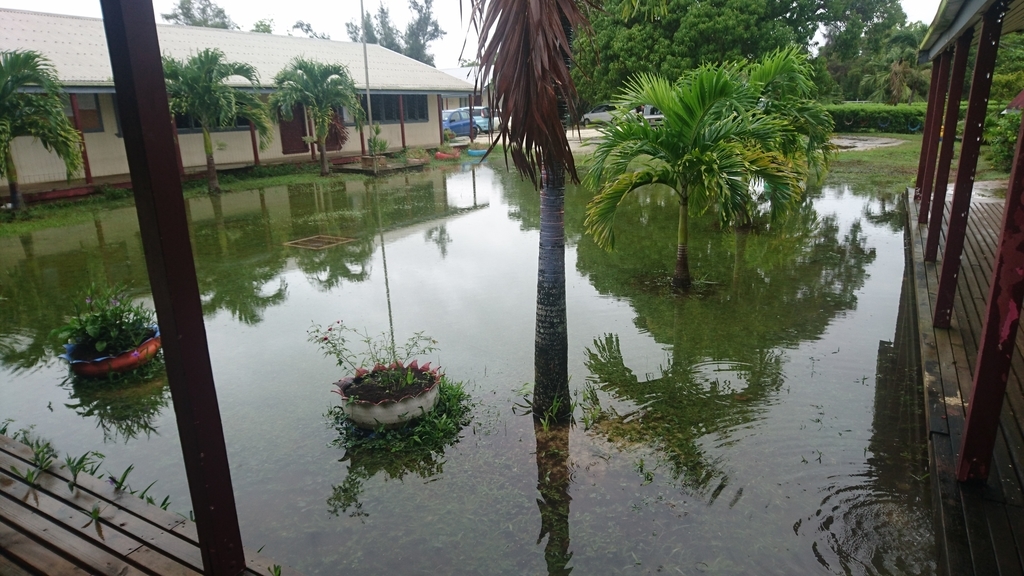 f:id:nanakagawa:20190304100004j:plain f:id:nanakagawa:20190304100004j:plain