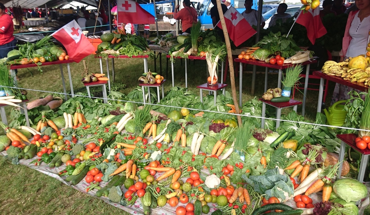 f:id:nanakagawa:20190709061257j:plain f:id:nanakagawa:20190709061257j:plain