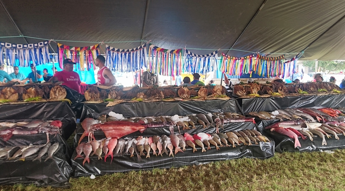 f:id:nanakagawa:20190709061330j:plain f:id:nanakagawa:20190709061330j:plain