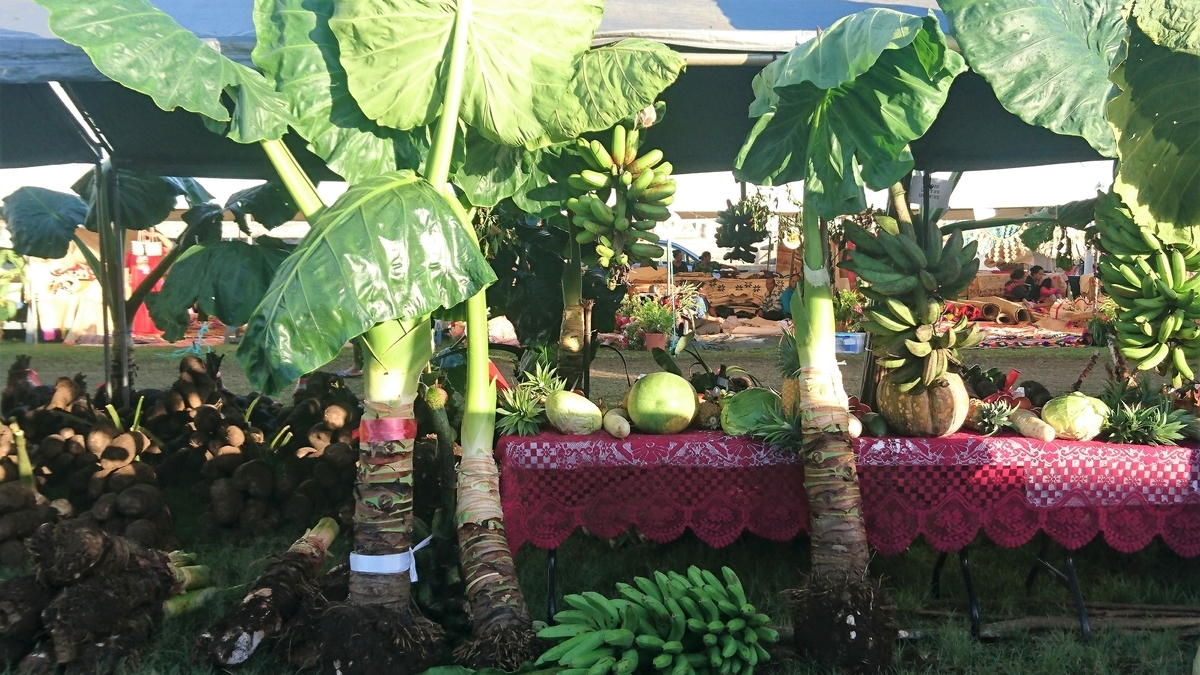 f:id:nanakagawa:20190709100522j:plain f:id:nanakagawa:20190709100522j:plain