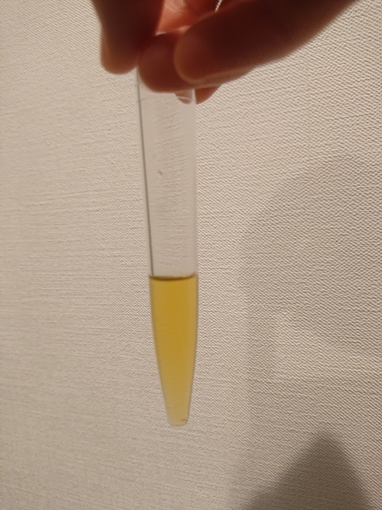 f:id:nanakama:20190224192851j:plain