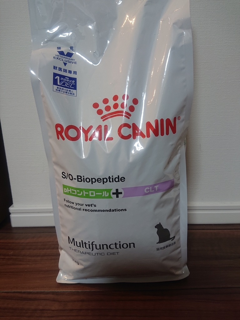 f:id:nanakama:20190224195126j:plain