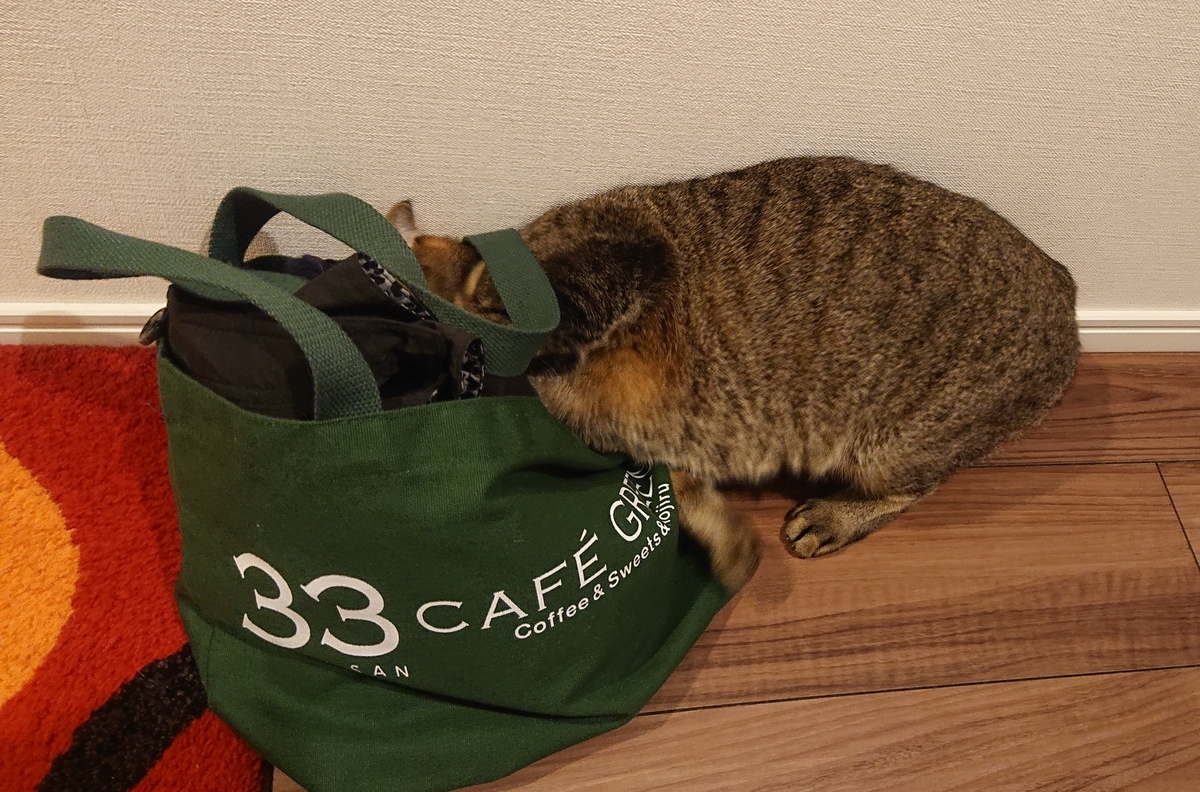 f:id:nanakama:20190417124324j:plain