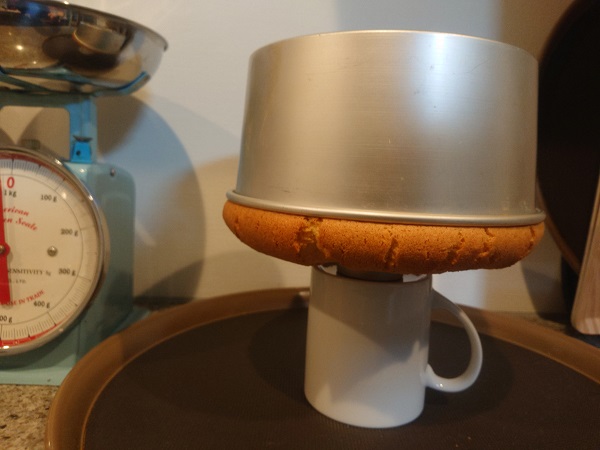 シフォンケーキ