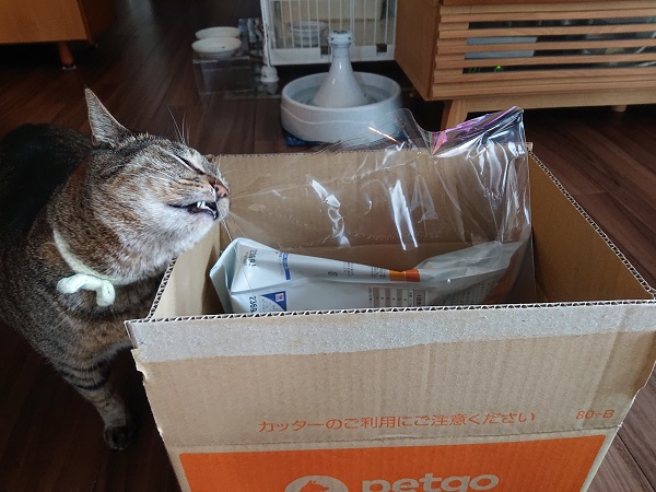 スリスリする猫