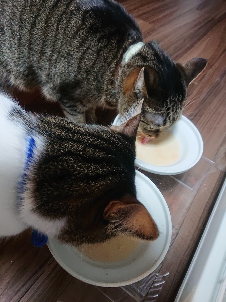 水溶きちゅーる