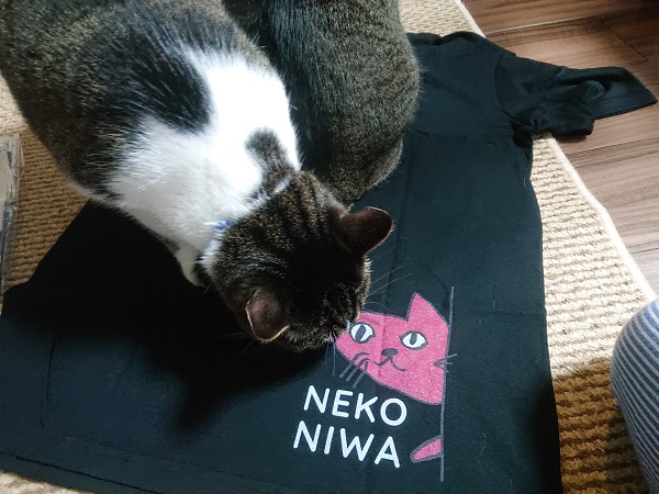 猫庭Tシャツ