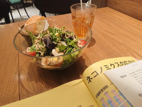 ねこ検定上級問題