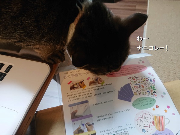 らくやきマーカー