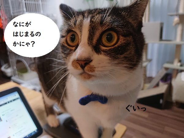 らくやきマーカー