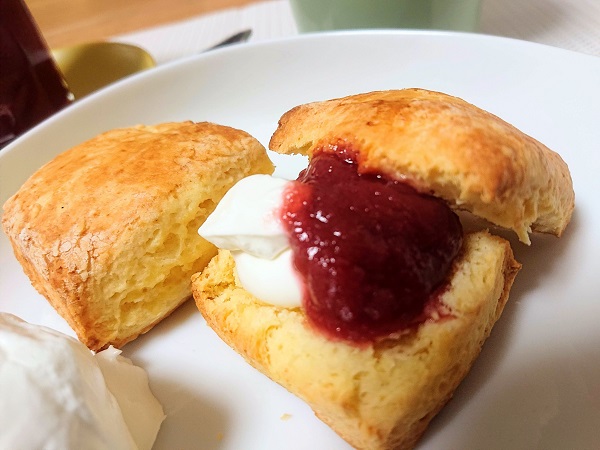 f:id:nanakama:20200914183406j:plain