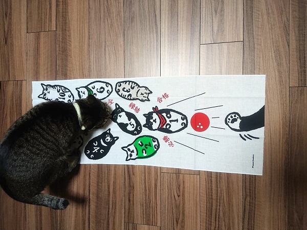 姉妹猫のしっぽの形【幸せのカギしっぽ】 - 北のねこ暮らし