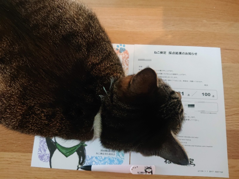 ねこ検定2020