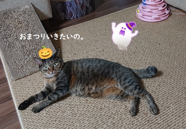 かぼちゃチャレンジ