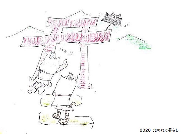 北のねこ暮らし
