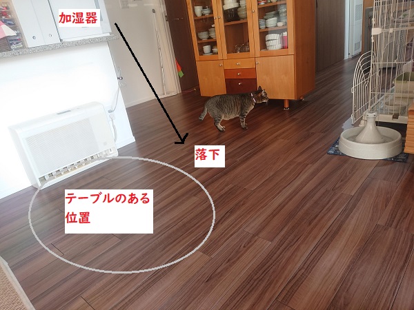 北のねこ暮らし