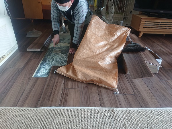 北のねこ暮らし