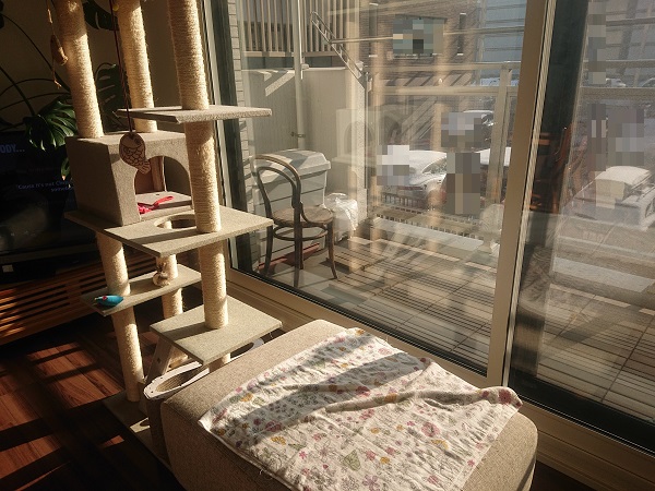 北のねこ暮らし