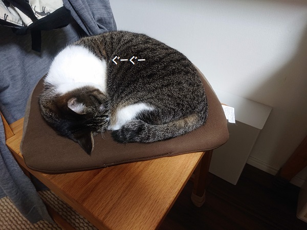 骨盤クッション 猫