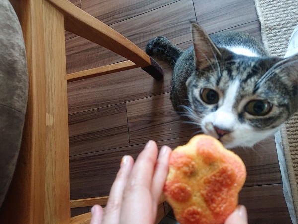 肉球マドレーヌ