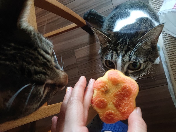 肉球マドレーヌ