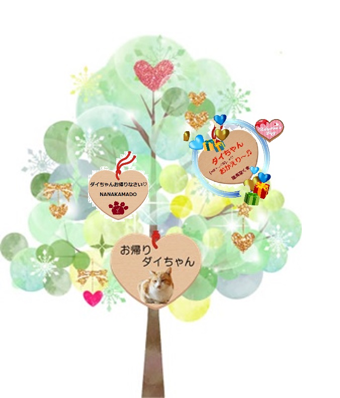 ご用の松　バレンタイン