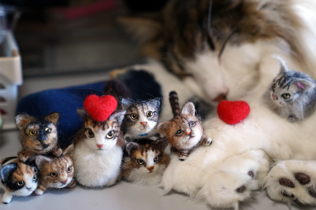 にゃんこぷさん