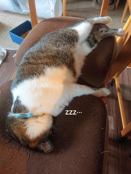 ごめん寝　変形バージョン