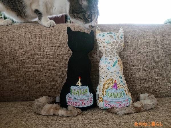 北のねこ暮らし