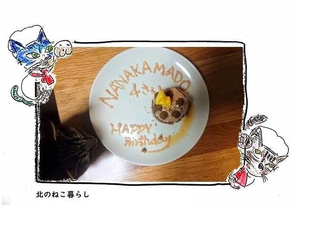 猫　誕生日　ケーキ